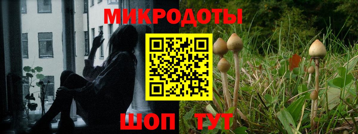 Галлюциногенные грибы мицелий Кубинка